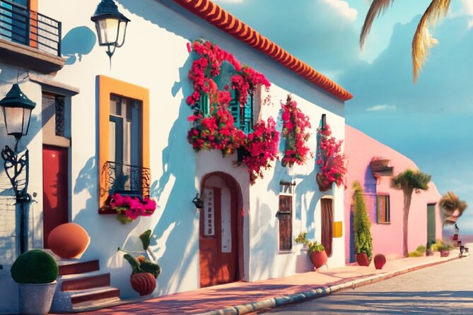 Puerto Vallarta VIP Promotional Tour - What this Puerto Vallarta tour is really trying to do