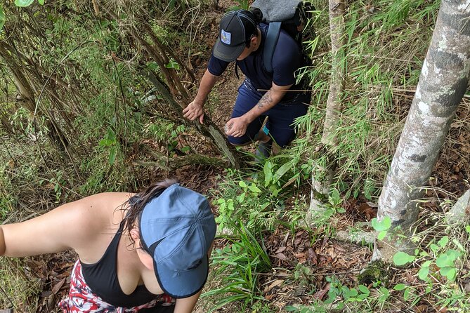 Puerto Vallarta Waterfall Hike - What the $39.37 price really buys