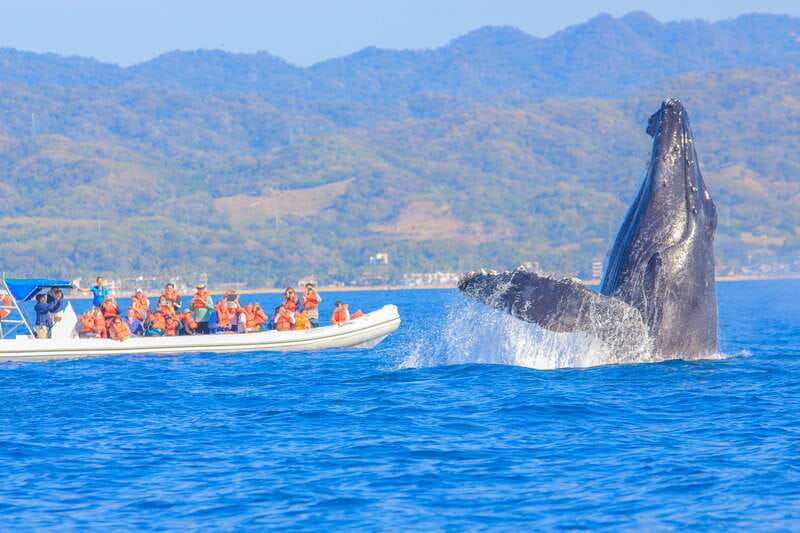 Puerto Vallarta: Whale Watching Photo Safari - Riding the inflatable boat for three hours