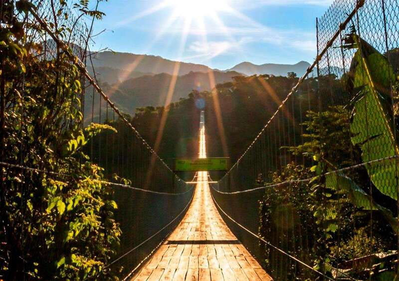 Puerto Vallarta: ZipLine + Jorullo Bridge Pass + Mule Ride - What the 11-line zipline circuit feels like