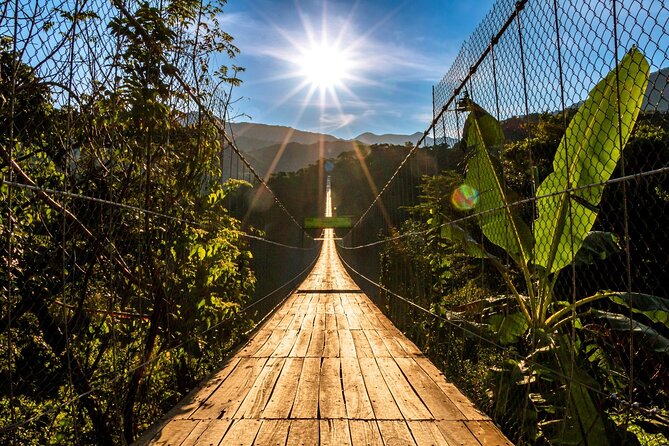 Puerto Vallarta Zipline, Mule ride and Jorullo Bridge Walking - Group size, pace, and physical effort