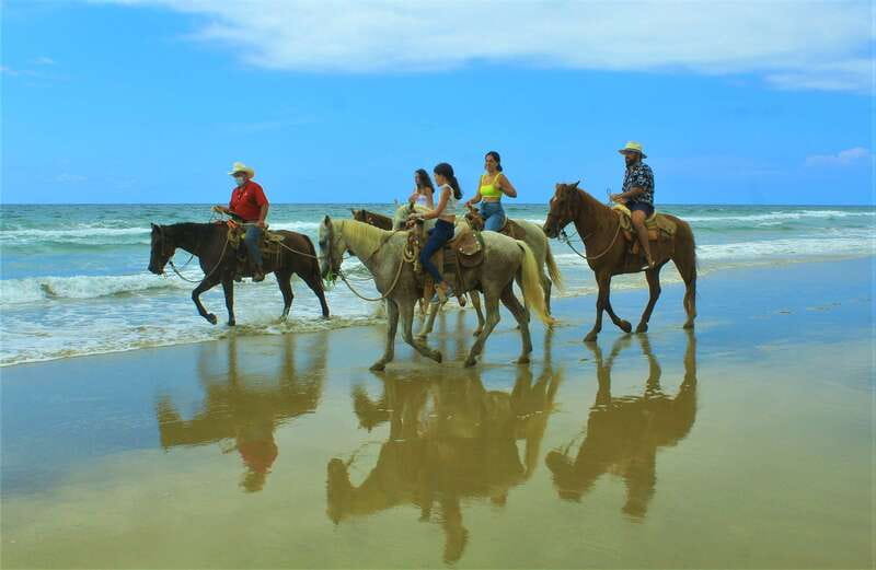Punta de Mita/Sayulita: Horseback Riding Tour - Who will enjoy this horseback tour