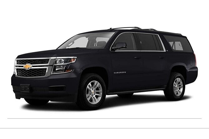 PVR VIP Roundtrip Transfer from Airport - Nuevo Nayarit - Airport - Finding the team after customs