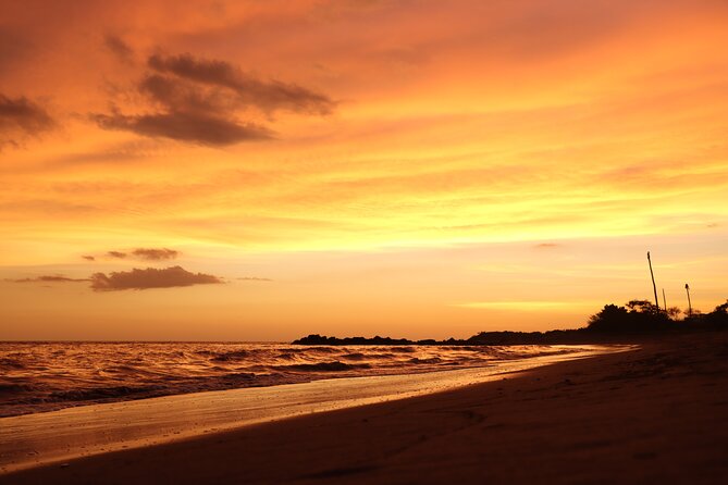 Release of Sea Turtles in Camp Tortuguero - Is $41.82 a fair price?