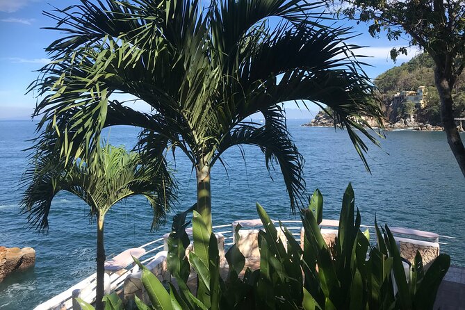 Remote Hidden Beaches Hike of South Shore (Puerto Vallarta) - A small group with a naturalist guide