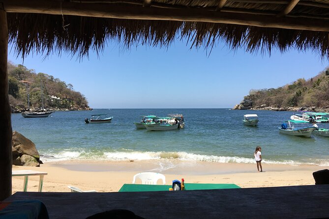 Remote Hidden Beaches Hike of South Shore (Puerto Vallarta) - Who should book this South Shore hike