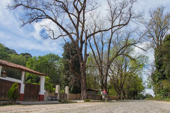 San Sebastian del Oeste - Coffee, agave, and rural work