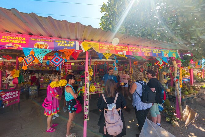 Sayulita and San Pancho Tour - Transport can make or break the seven-hour schedule