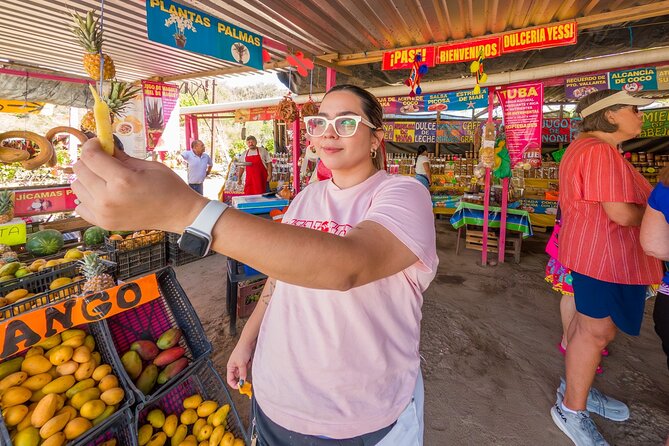 Sayulita and San Pancho Tour - Guides and drivers are often the strongest part