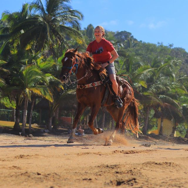 Sayulita: Horseback Riding Tour - What the $79 price gets you
