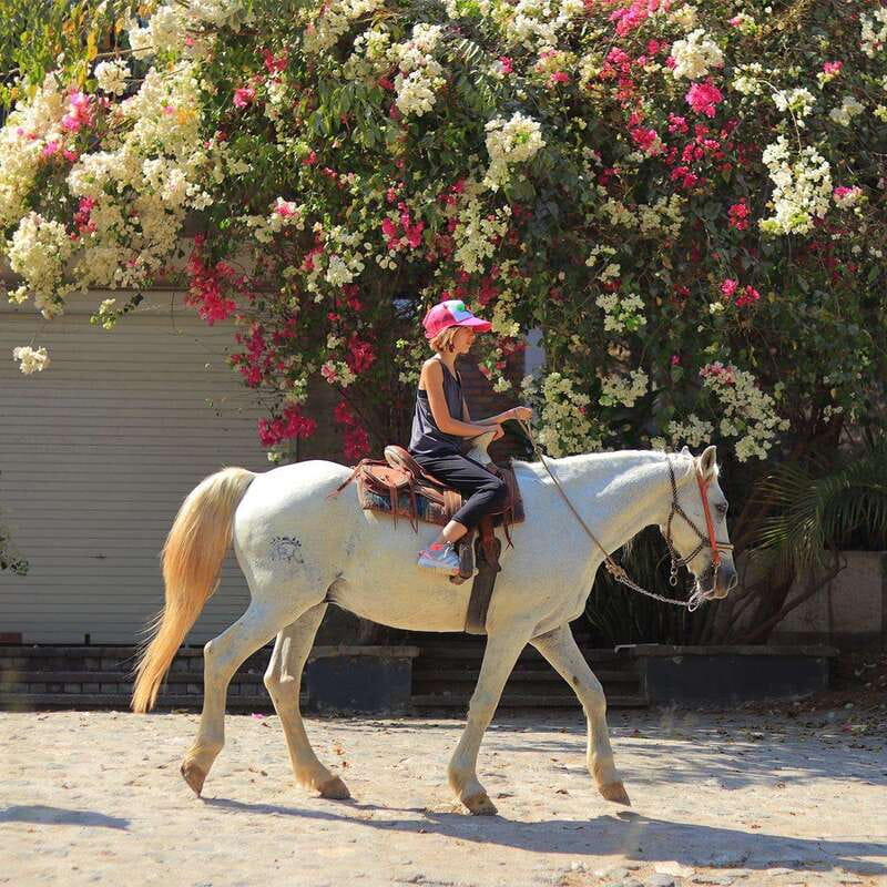 Sayulita: Horseback Riding Tour - The shaded ride through the jungle