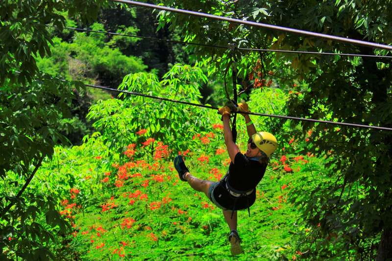 Sayulita/Punta Mita: Zip Lines with Ocean View - Safety, comfort, and who should skip it