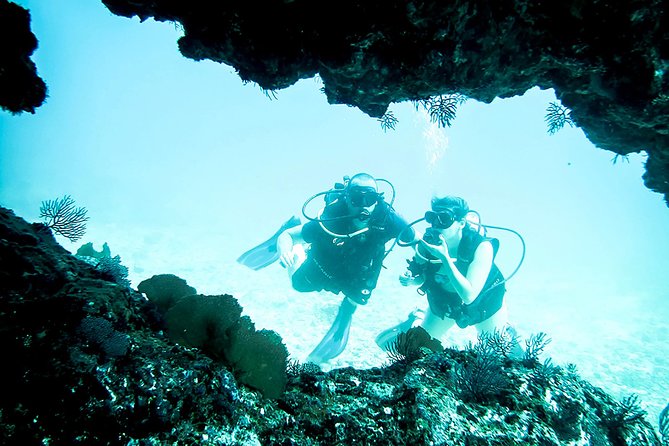 Scuba Diving Marietas Islands - Why the Marietas Islands make a strong scuba outing