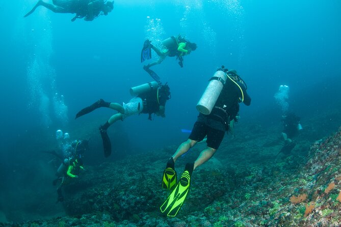 Scuba Diving Puerto Vallarta Undersea Arcos or Marietas - Instruction that helps nervous beginners