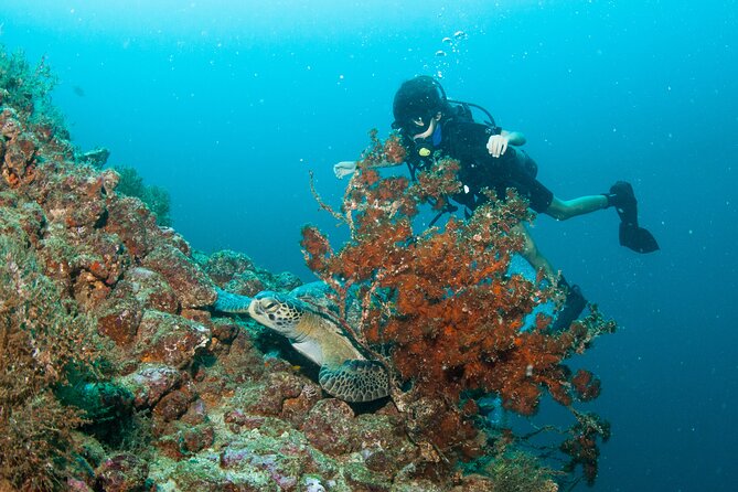 Scuba Diving Puerto Vallarta Undersea Arcos or Marietas - Marietas Islands: certification required