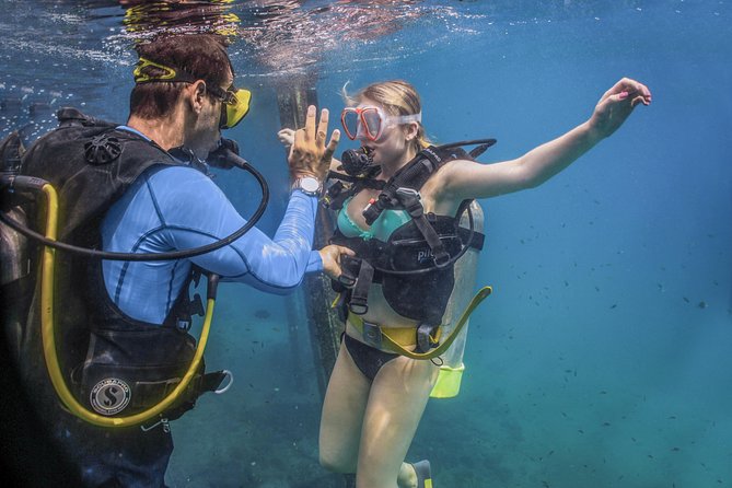Scuba Diving with a 5-Star PADI Center in Puerto Vallarta - What your Puerto Vallarta morning looks like