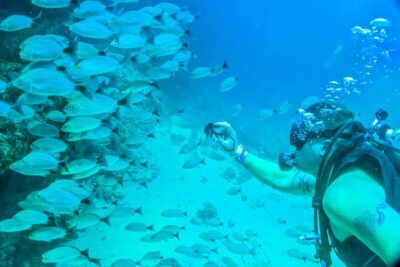 Scuba Diving with a 5-Star PADI Center in Puerto Vallarta