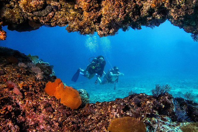 Scuba Diving with a 5-Star PADI Center in Puerto Vallarta - The Marietas Islands and their protected waters
