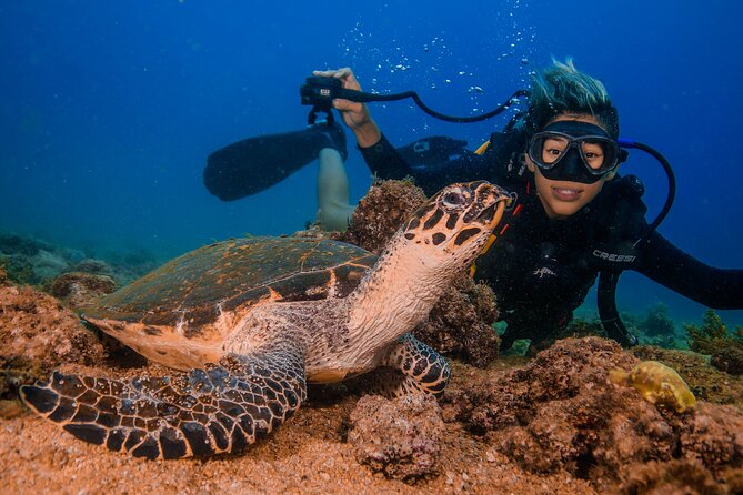 Scuba Diving with a 5-Star PADI Center in Puerto Vallarta - Who should book this experience