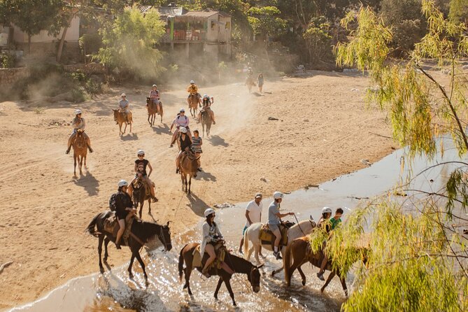 Sea Safari & Beach BBQ at secluded Pizota jungle beach - The waterfall and seasonal reality