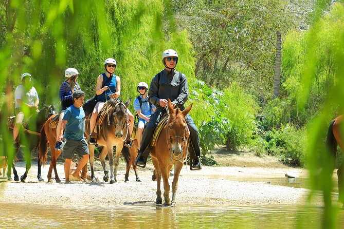 Sea Safari & Beach BBQ at secluded Pizota jungle beach - Who will enjoy this coastal adventure