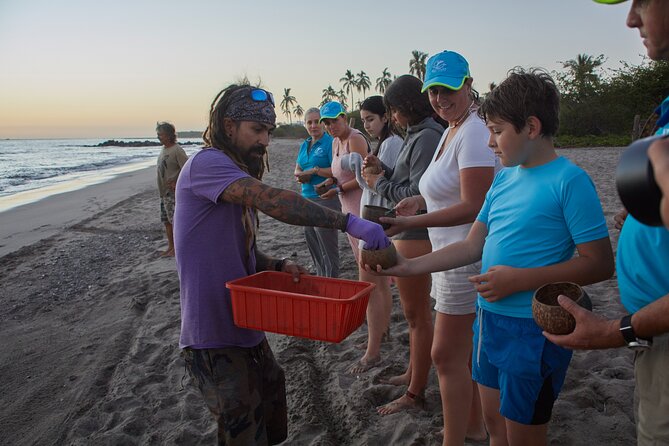 Sea Turtle Release – A Puerto Vallarta Conservation Adventure - The practical value of a two-hour outing