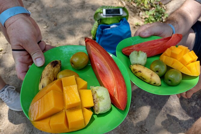 Selva y Playas Exóticas, Senderismo en Puerto Vallarta - Why this tour feels different from a standard beach day
