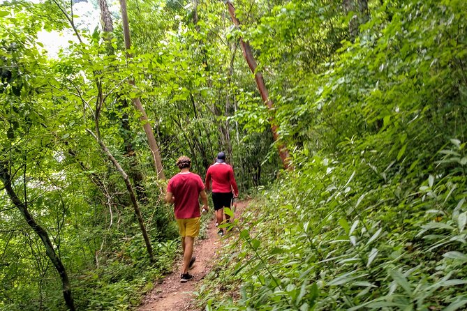 Selva y Playas Exóticas, Senderismo en Puerto Vallarta - Las Ánimas and the choice to eat or keep walking