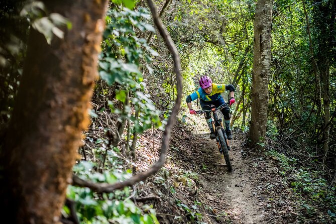 SINGLETRACK MOUNTAIN BIKE - Guided through the jungle - Starting at Wildmex in Sayulita