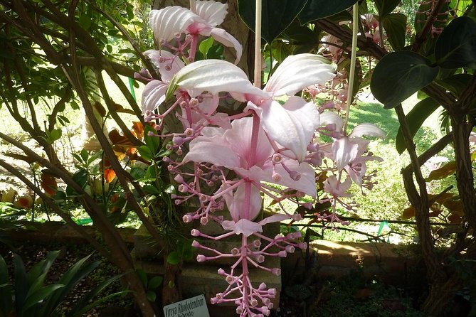 Skip the Line: Vallarta Botanical Garden Admission Ticket - A botanical garden with a river at the bottom