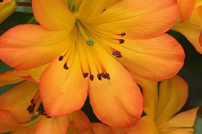 Skip the Line: Vallarta Botanical Garden Admission Ticket - When the included tour helps