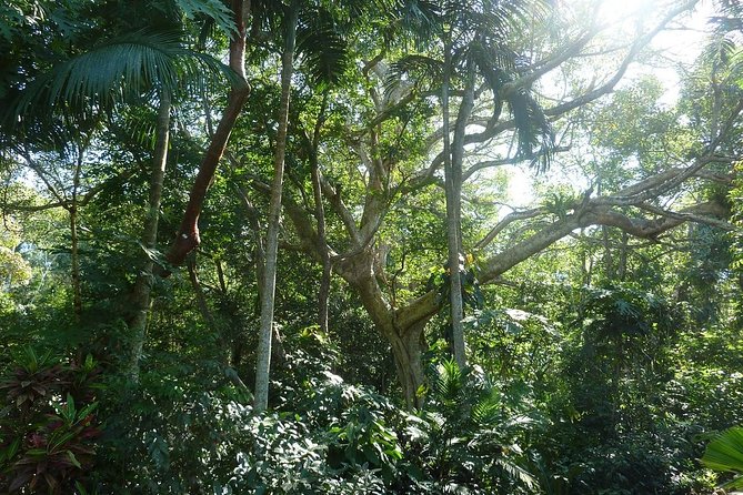 Skip the Line: Vallarta Botanical Garden Admission Ticket - Is the admission good value?