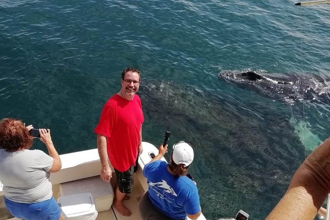Small-Group Half-Day Whale-Watching Tour in Puerto Vallarta - What you may see beyond humpback whales
