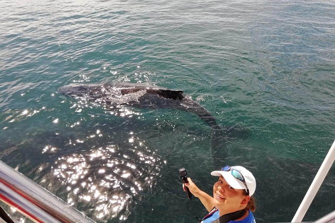 Small-Group Half-Day Whale-Watching Tour in Puerto Vallarta - Lunch, drinks, and the little comforts