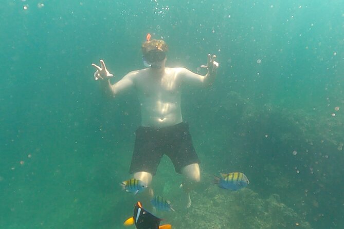 Snorkeling at Los Arcos 5 islands Hidden Beach and Cliff Jumping - Who should book this outing