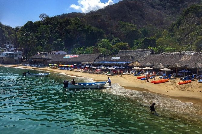 South Shore Private Sightseeing Cruise in Puerto Vallarta - Who should book this South Shore cruise