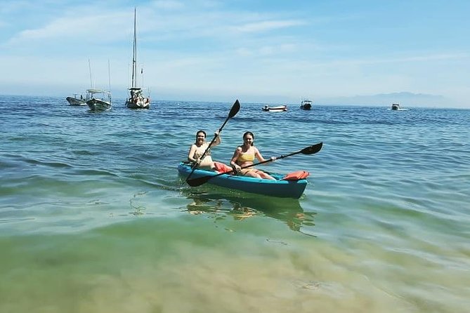 South Shore Private Sightseeing Cruise in Puerto Vallarta - From Marina Los Peines to the South Shore