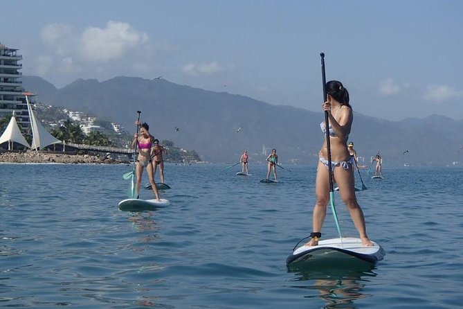 Stand-Up Paddle Board Lesson in Puerto Vallarta - From the beach to the Malecon