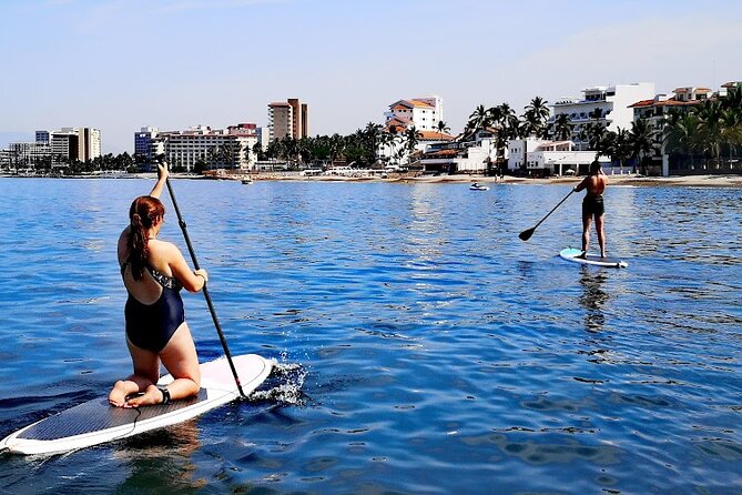 Stand Up Paddle Boarding Adventure in Puerto Vallarta - Wildlife sightings depend on luck and conditions