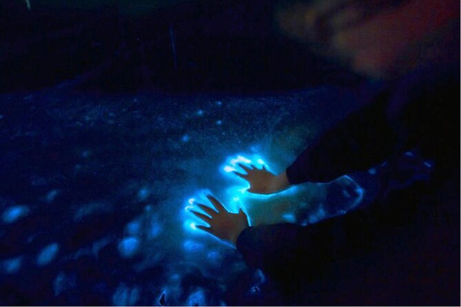 Sunset and Bioluminescence Boat Tour at Los Arcos Islands - Mismaloya adds a little local context