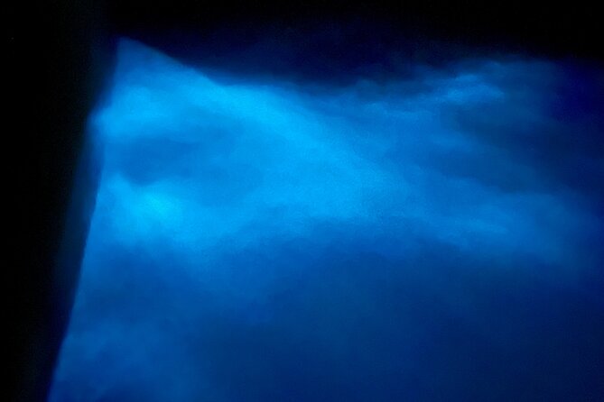 Sunset and Bioluminescence Boat Tour at Los Arcos Islands - The one-hour bioluminescence swim