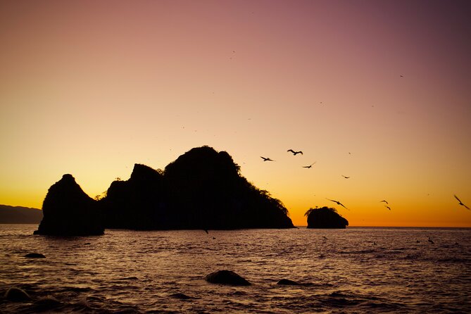 Sunset and Bioluminescence Boat Tour at Los Arcos Islands - Who will enjoy this outing most