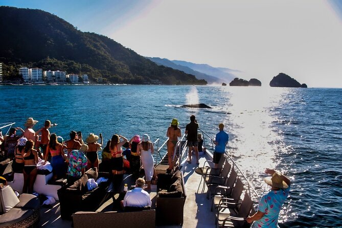 Sunsets and Whales Mega Yachts ALL INCLUSIVE: Puerto Vallarta - A yacht with room for sun and shade