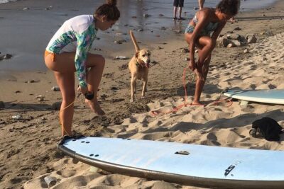 Surf Lesson for Beginners in Sayulita & Punta de Mita