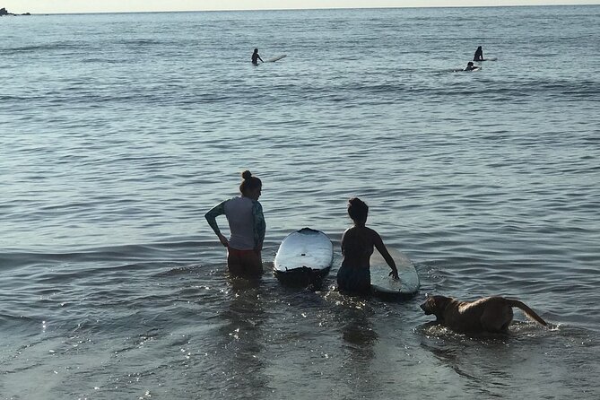 Surf Lesson for Beginners in Sayulita & Punta de Mita - Who will get the most from this lesson