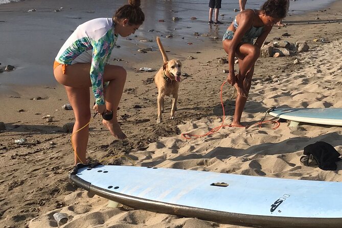 Surf Lesson for Beginners in Sayulita & Punta de Mita - What happens during the 90-minute lesson