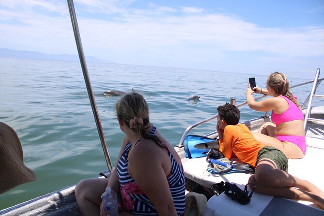 Swim and Paddle Board with Wild Dolphin Pods in Puerto Vallarta - Leaving Los Muertos Beach Pier