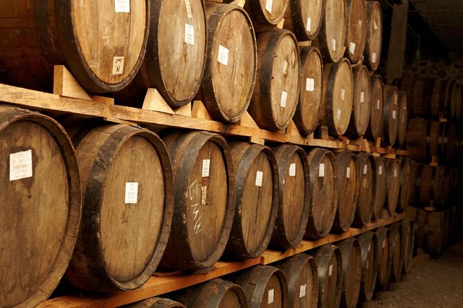 Tequila Jalisco Full Day Tour from Puerto Vallarta - Why this Puerto Vallarta day trip is worth your time