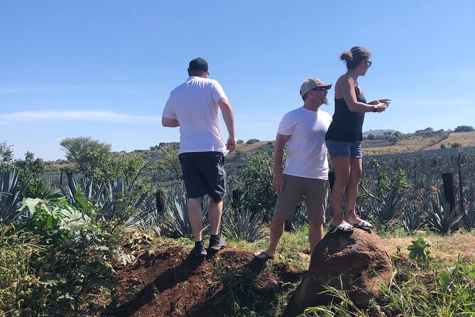 Tequila Jalisco Full Day Tour from Puerto Vallarta - Agave fields and the UNESCO-listed Tequila region
