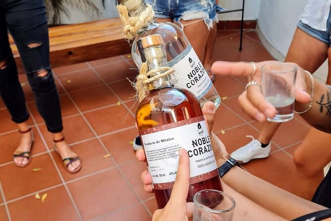 Tequila, Mezcal and Raicilla Tasting - What to know about the samples